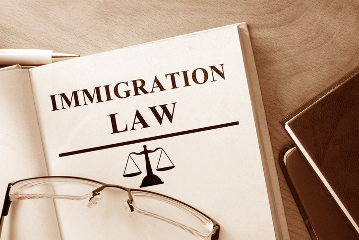 Same-Sex Marriage Immigration Law