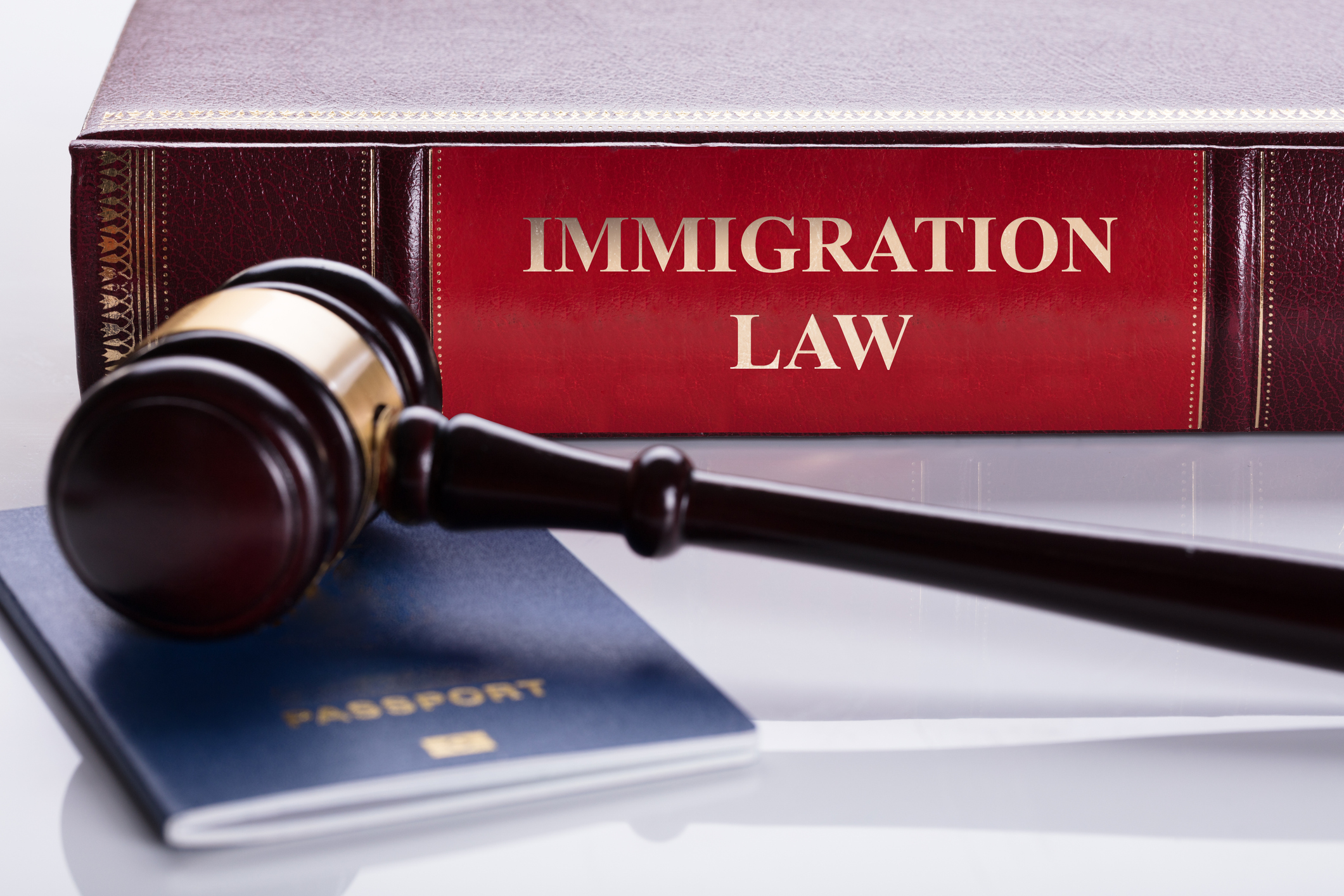Immigration Cases Explained