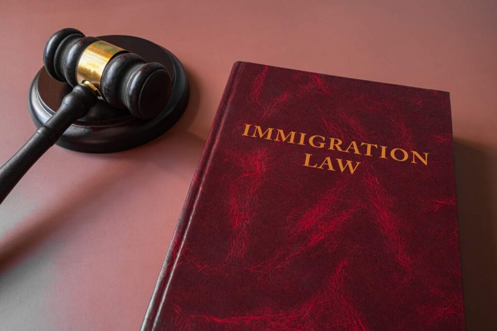 Immigration and Customs Enforcement