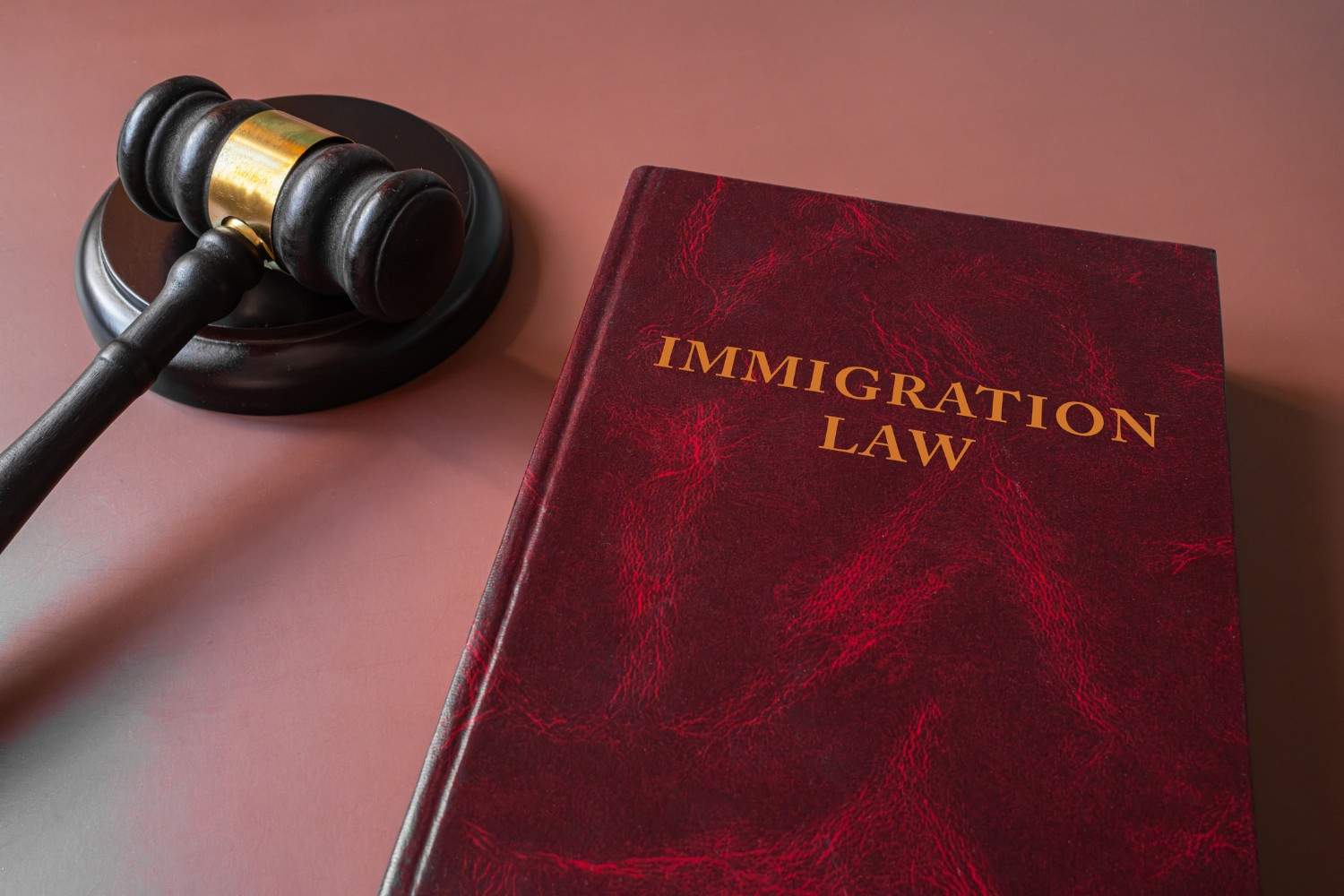 Immigration and Customs Enforcement
